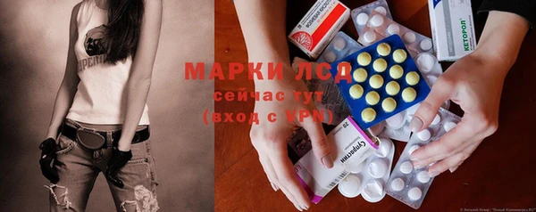 гашик Дмитров