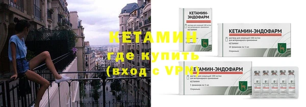 гашик Дмитров