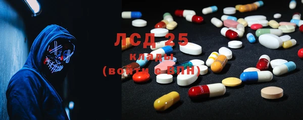 гашик Дмитров