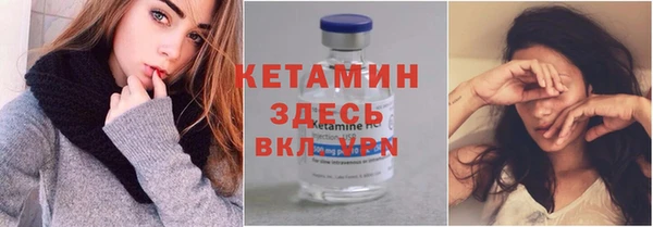 гашик Дмитров