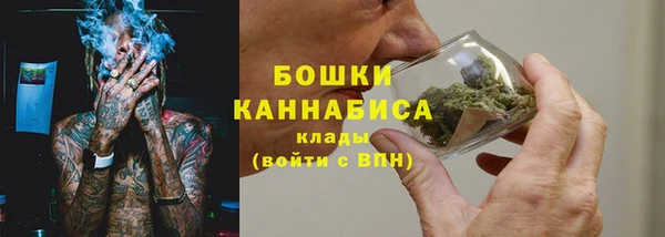трава Дмитриев