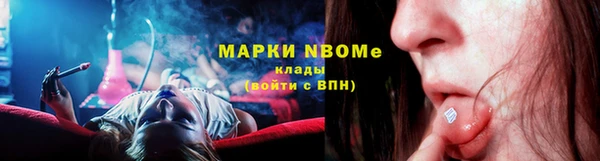 гашик Дмитров
