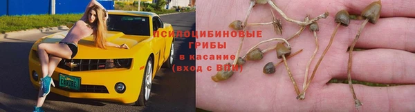 таблы Дмитровск