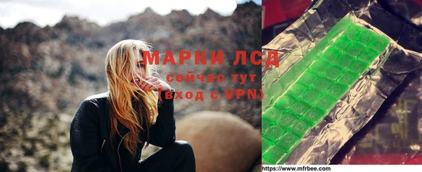 гашик Дмитров