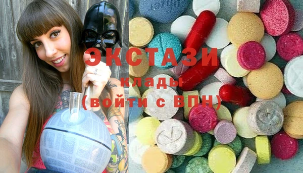 гашик Дмитров