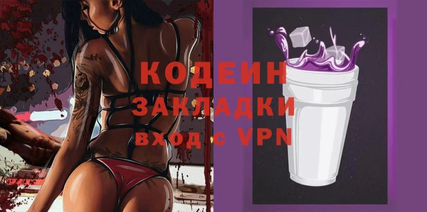 гашик Дмитров