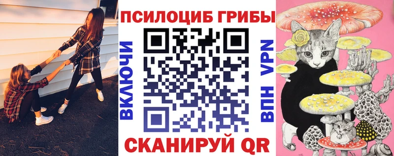 Псилоцибиновые грибы Psilocybine cubensis где можно купить наркотик Домодедово